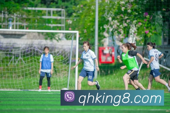 多媒体互动体验